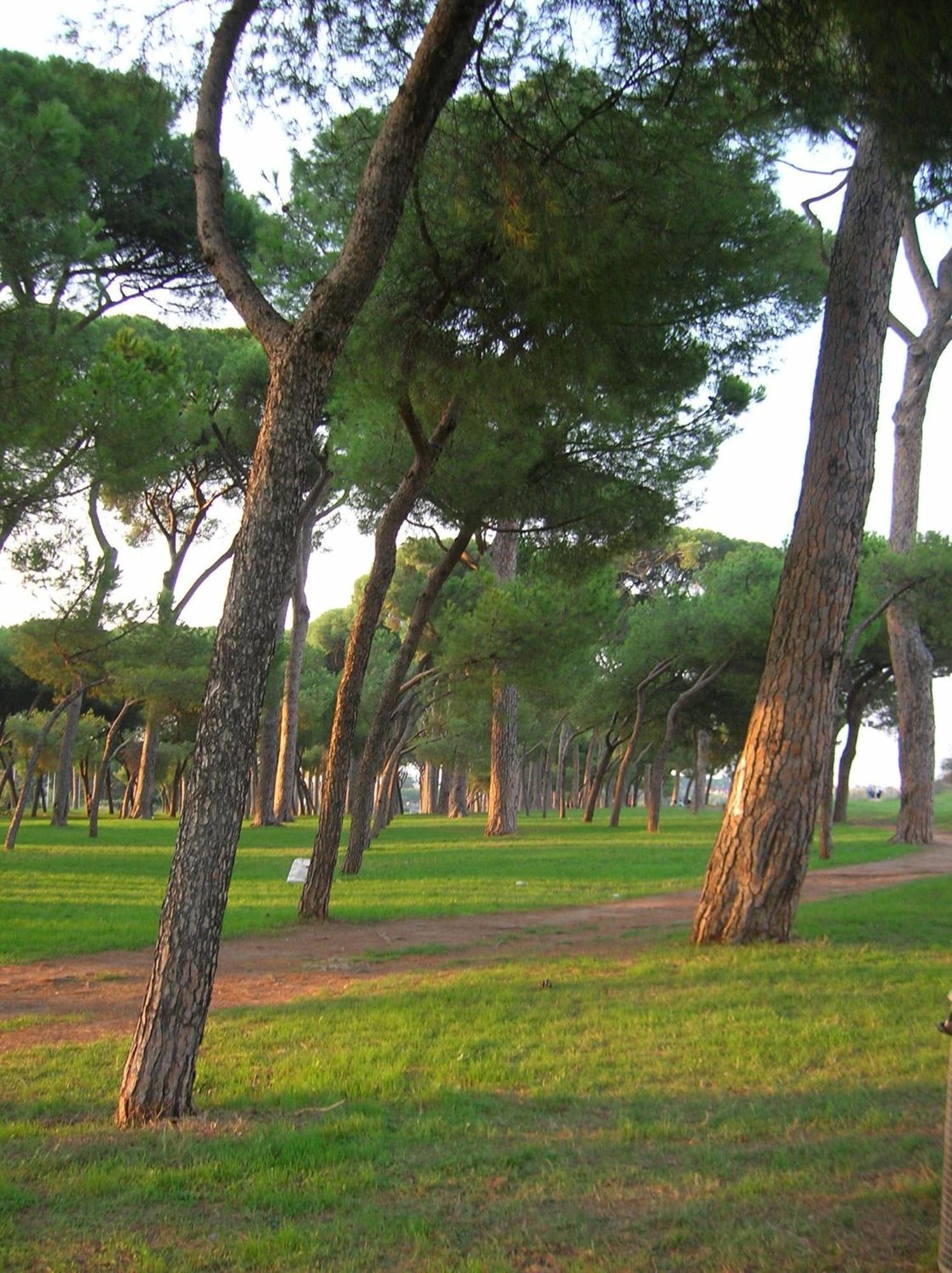 Nearpineta Apartment Rome Luaran gambar